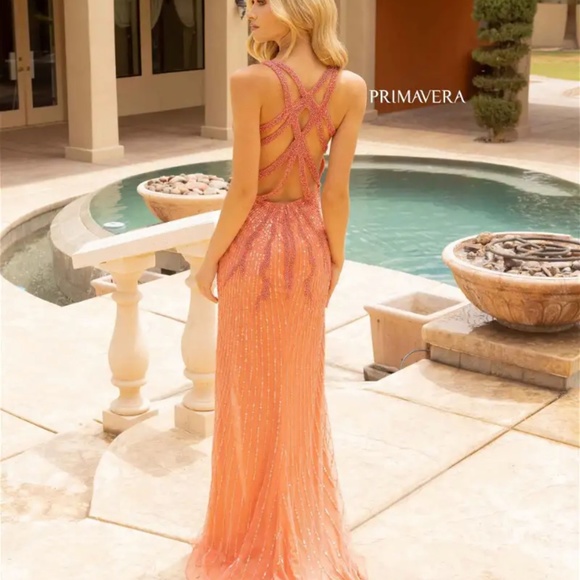 Primavera prom gown - Picture 2 of 6